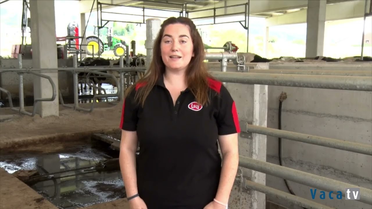 Bienestar animal, el gran objetivo de SAT Indelante con Lely