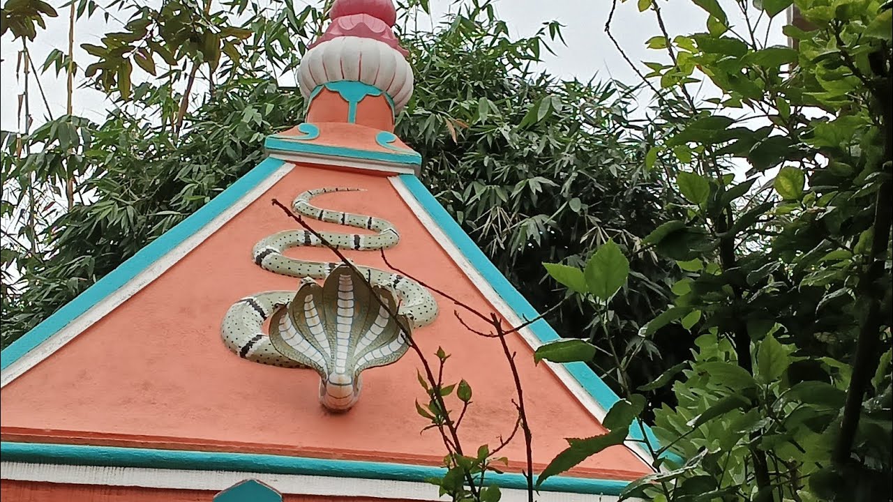 আজ বাড়িতে পূজা আছে কী পূজা করলাম দেখতে থাকুন।