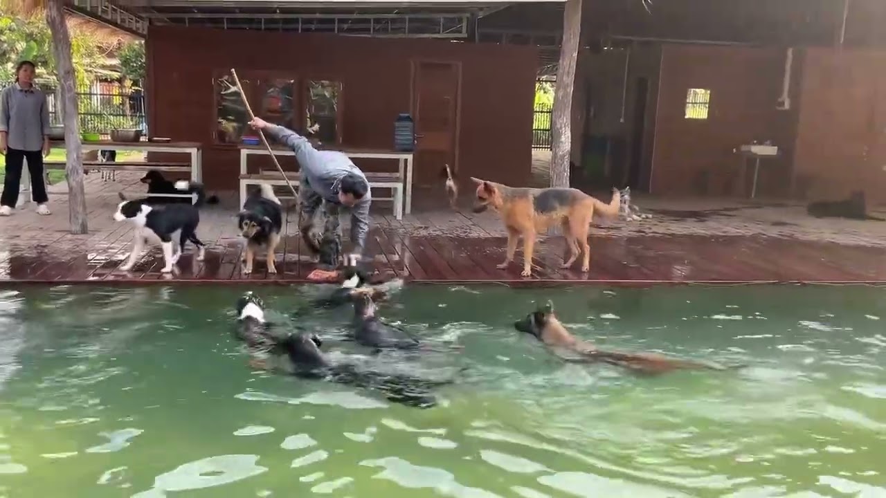 បង្រៀនហែលទឹកមេីលទៅសប្បាយដល់ហេីយ​ Learn to swim and have fun