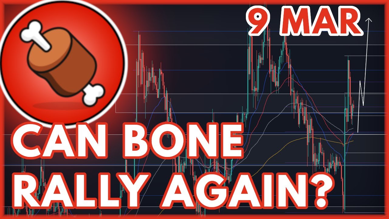 BONE PRICE PREDICTION TODAY!🔥 | SHIBASWAP (BONE) PRICE PREDICTION & NEWS 2023!