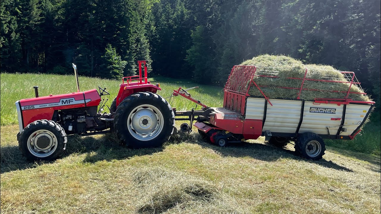 Massey Ferguson 285 jg 1978 bei der Heuernte