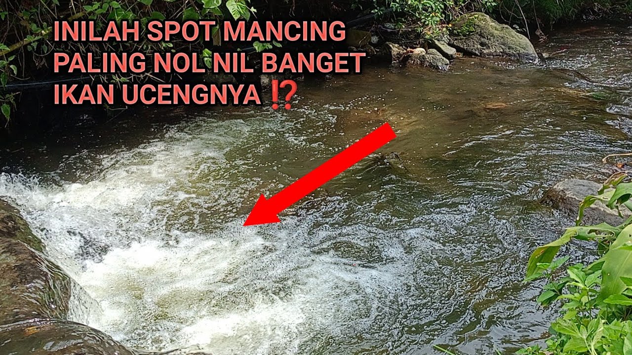 DIJAMIN PASTI GACOR DAN NOL NIL ⁉️ INILAH SPOT  MANCING SUNGAI LIAR PALING NOL NIL IKAN UCENGNYA