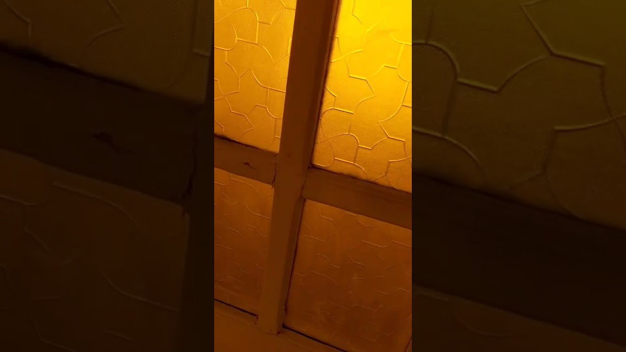١٤ يناير ٢٠٢٦