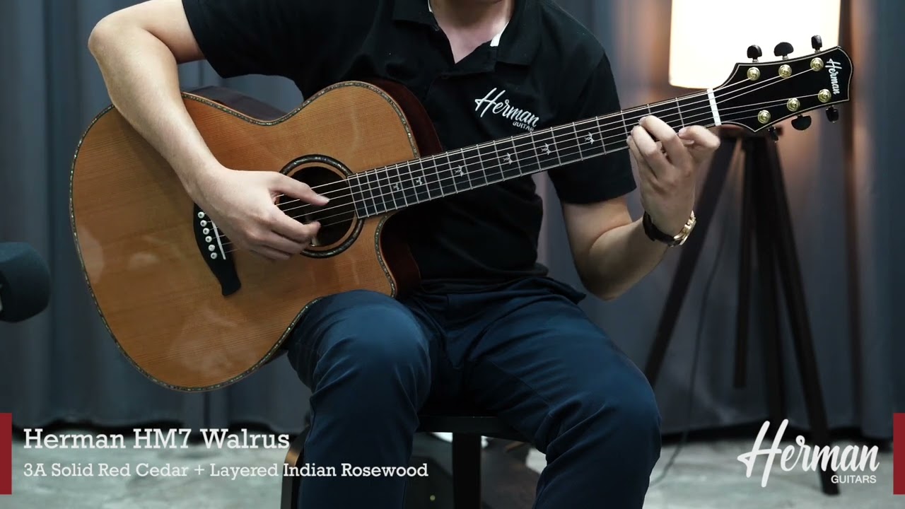Herman HM7 Walrus (Solid Top Red Cedar)