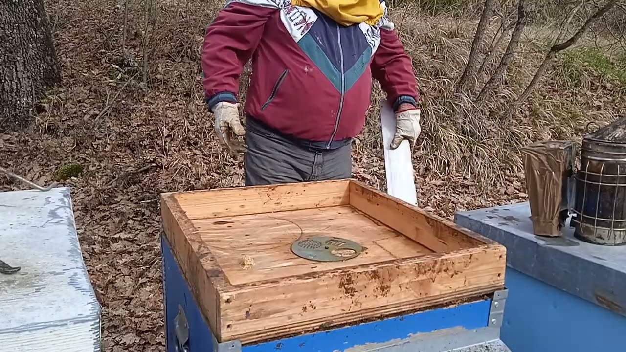 Familii si familii.o iarna asa ploioasa nu stiu sa fi avut pe aici.