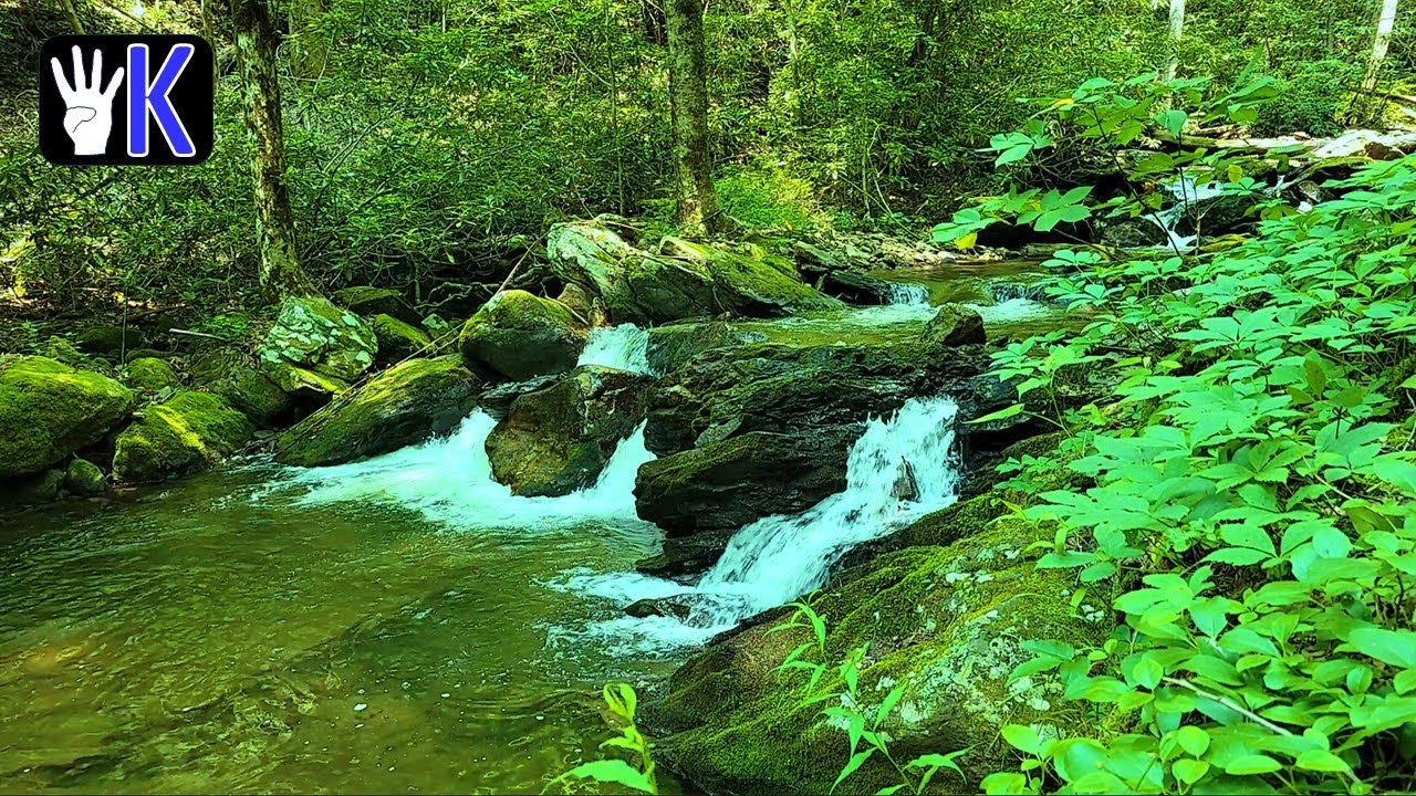 Original Content | Natural scenes | Natural Sound | Sound for Sleep | Soothing Sound | Calm beauty