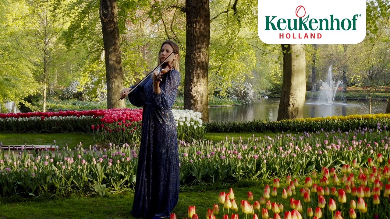 Violinist Rosanne Philippens embraces the sunrise in Keukenhof - Keukenhof Virtually Open