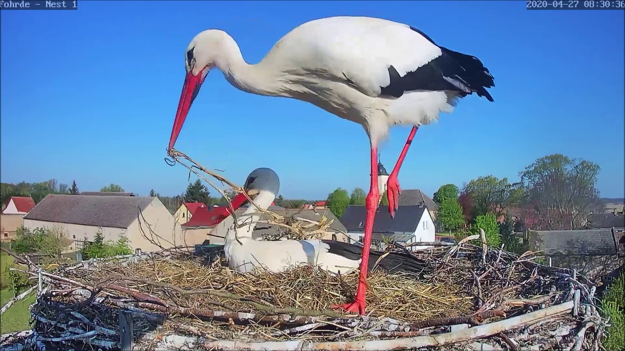 Wenn Mädels bauen!!! Lilly baut Ben ein!!! - 27.04.20