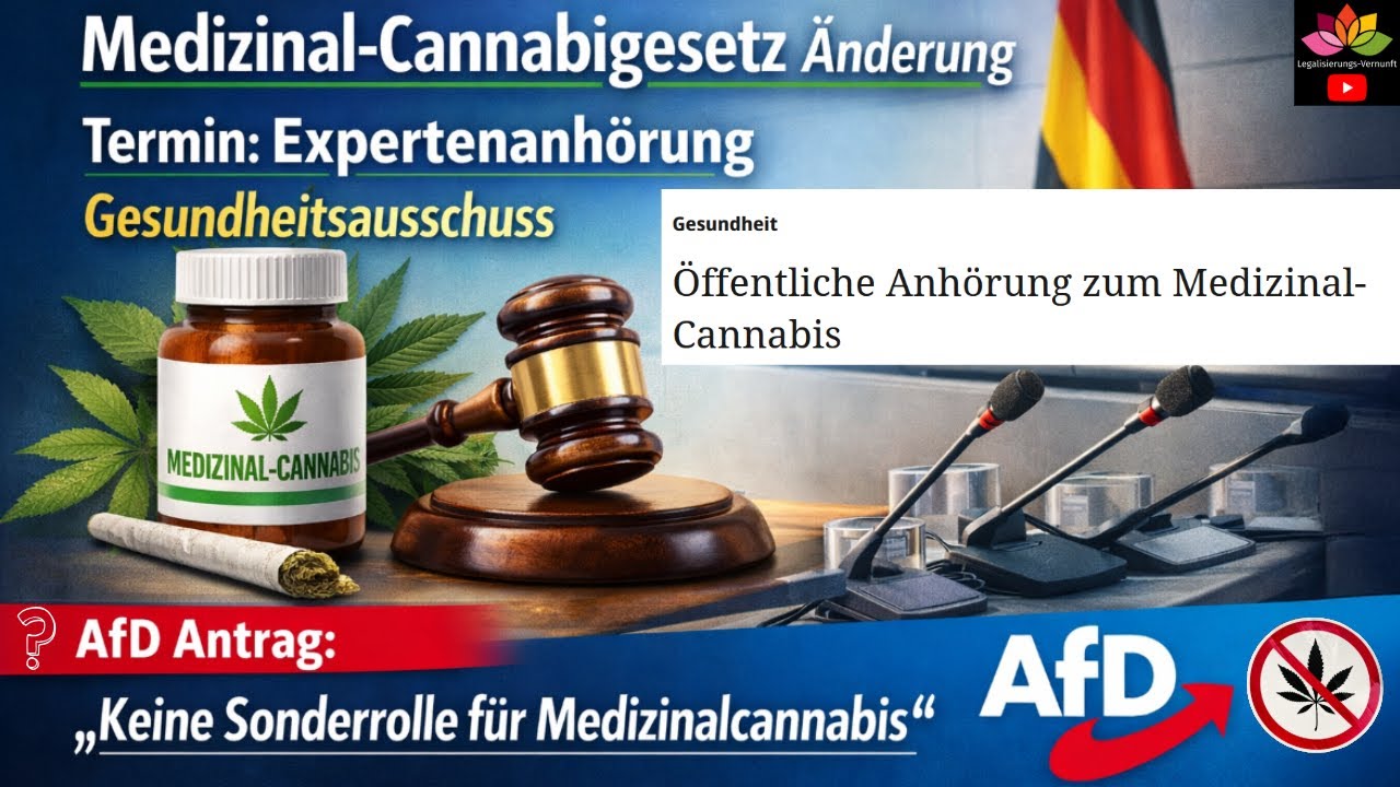 Medizinal-Cannabisgesetz &Auml;nderung Termin Gesundheitsausschuss / AfD Antrag / Cannabis Ausblick 2026