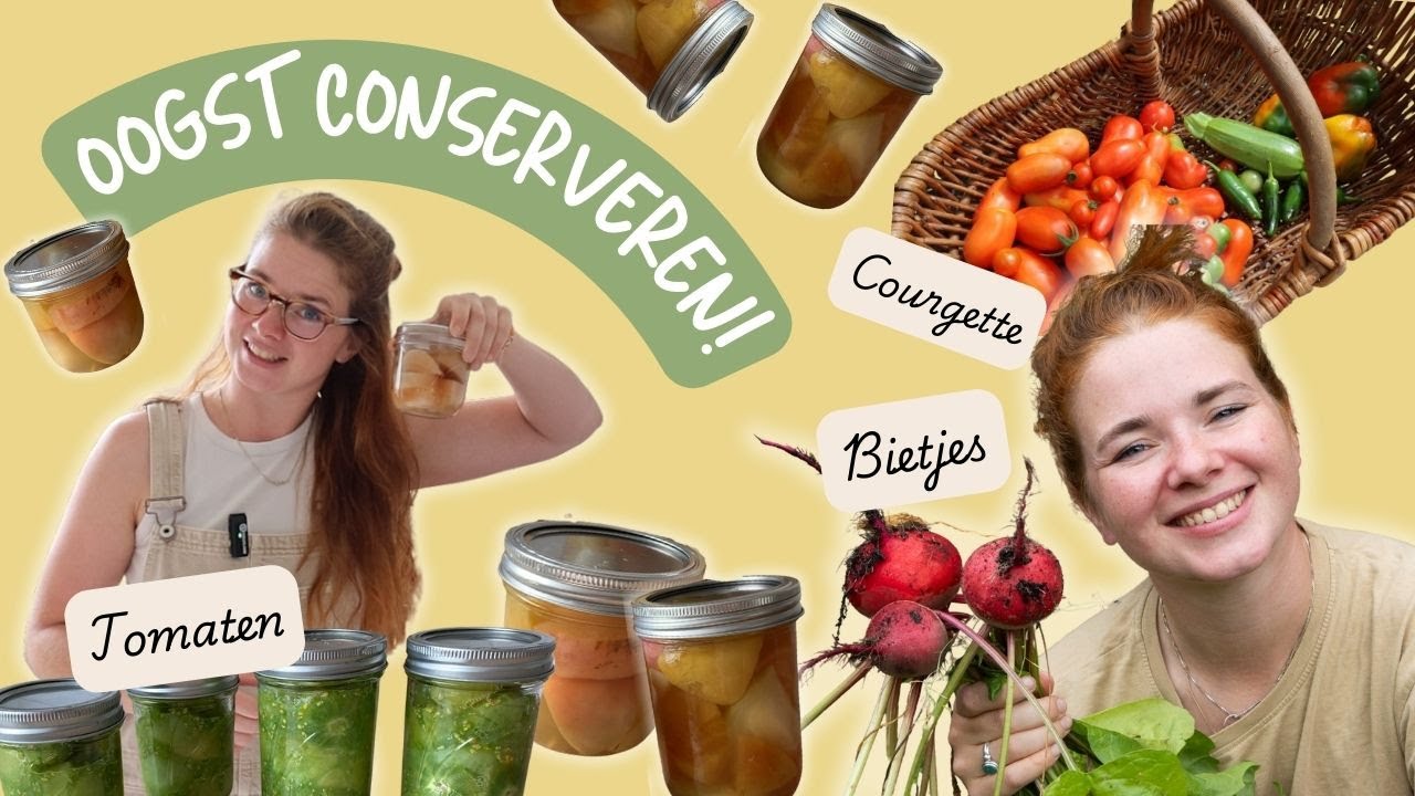 Oogst conserveren | Tomaten, bietjes en courgettepoeder!