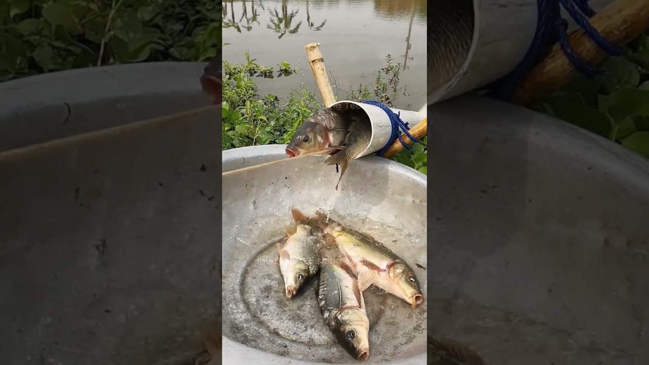 Most People Don’t Know This Fishing Method