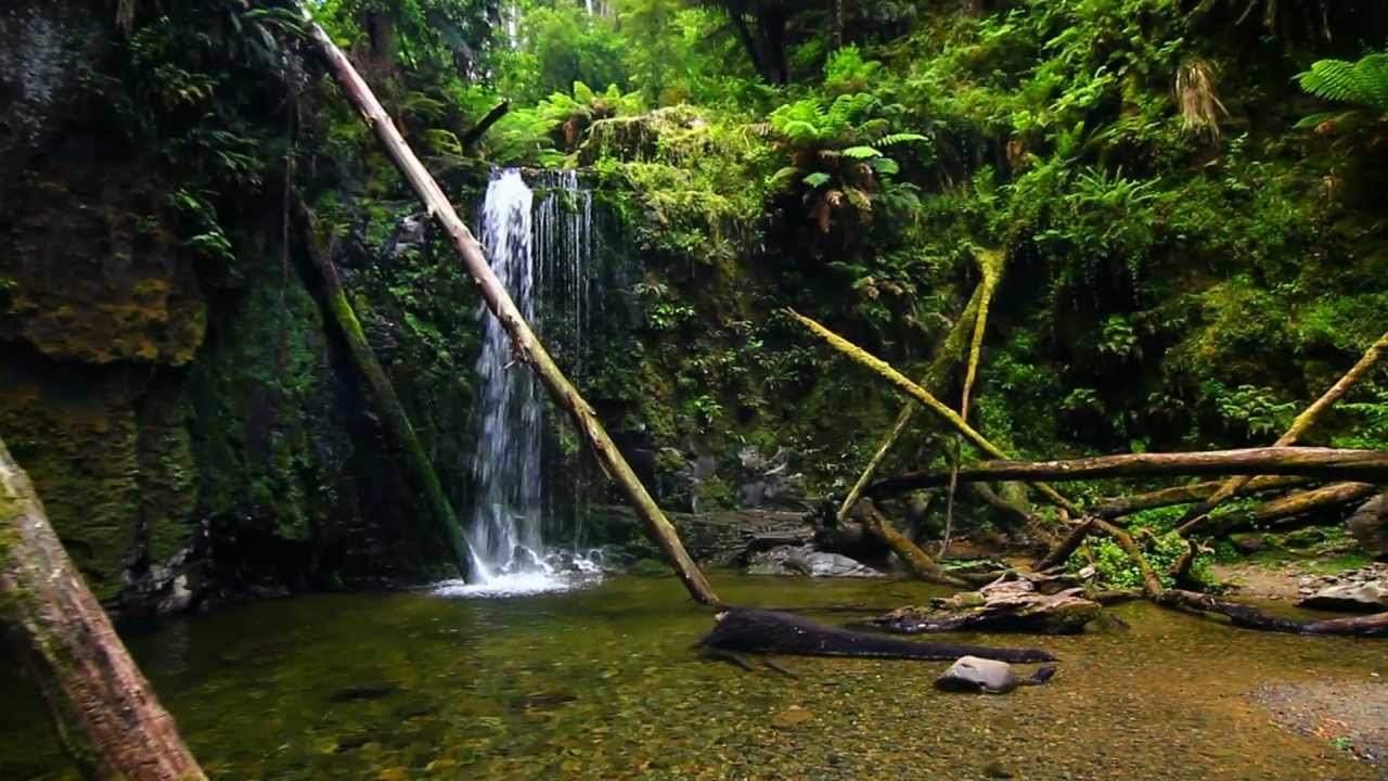 Journeys in Australia Canon T2i + Tokina 11-16mm DIY Glidecam