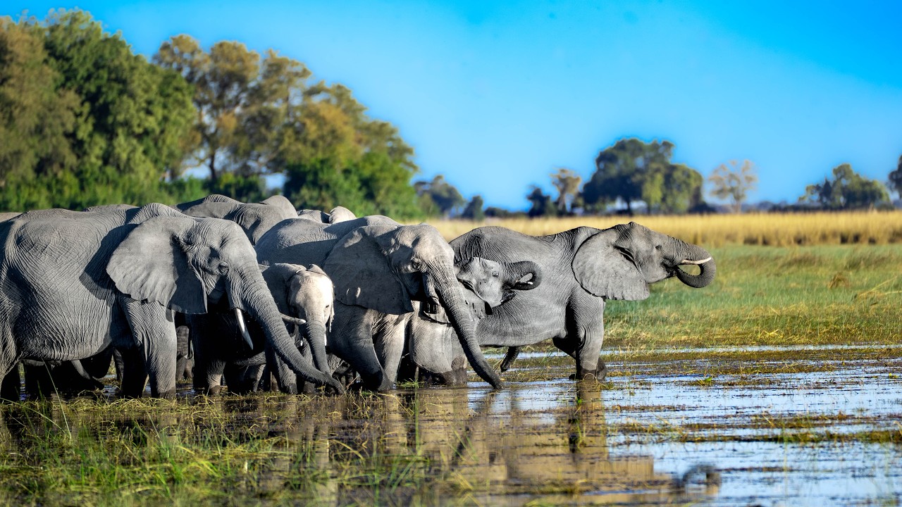 Namib W&uuml;ste, Etoscha Park, Caprivi & Victoria Falls - Zelt Lodge Safari #imagefilm