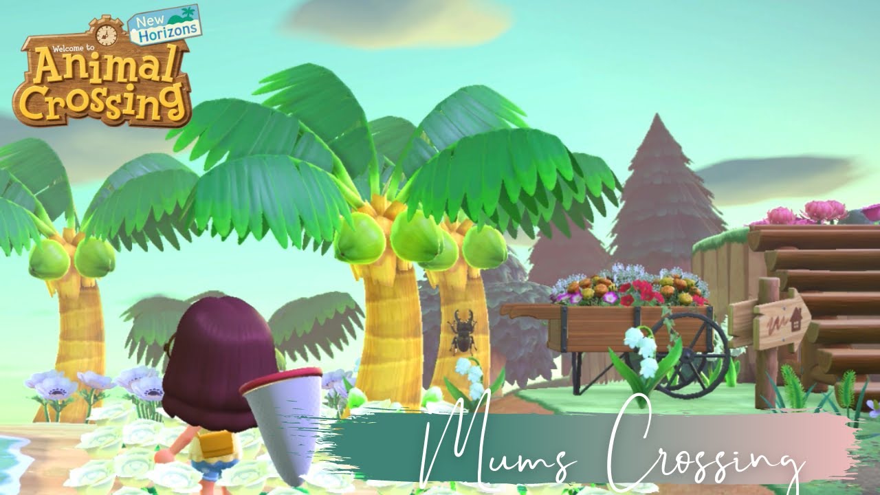 Hunting Rare Bugs | Horned Hercules & Giraffe Stag | Let's play ACNH | Animal Crossing New Horizons
