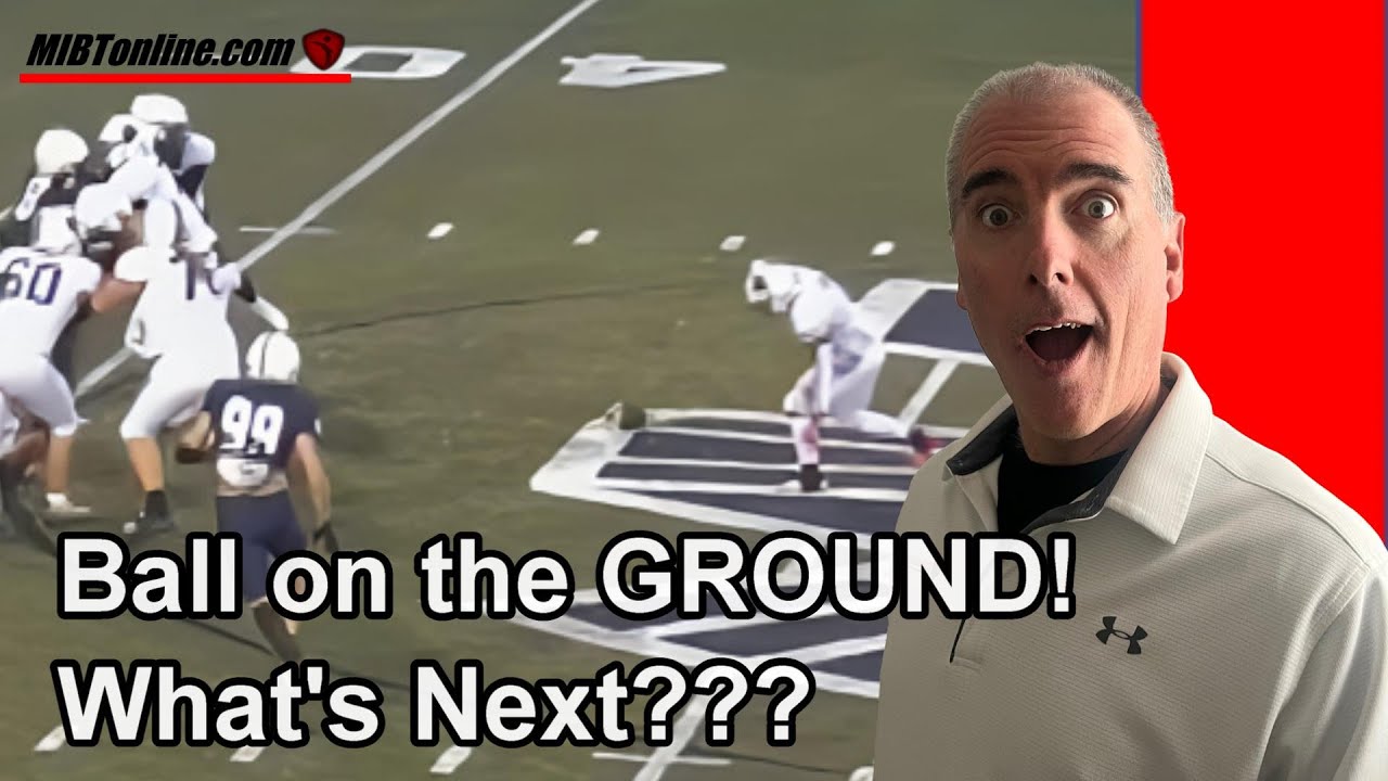 Deciding Backward or Forward Pass: Analysis and Discussion on Decision-making.