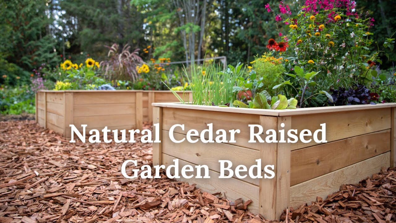 Natural Cedar Raised Garden Beds