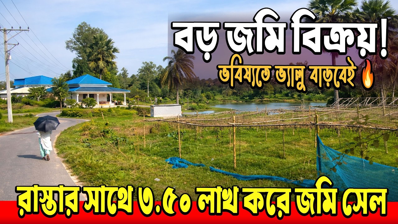 বড় জমি বিক্রি হাইওয়ের পাশে ৩.৫০ লাখ করে🌿land sell gazipur । জমি বিক্রি গাজীপুর