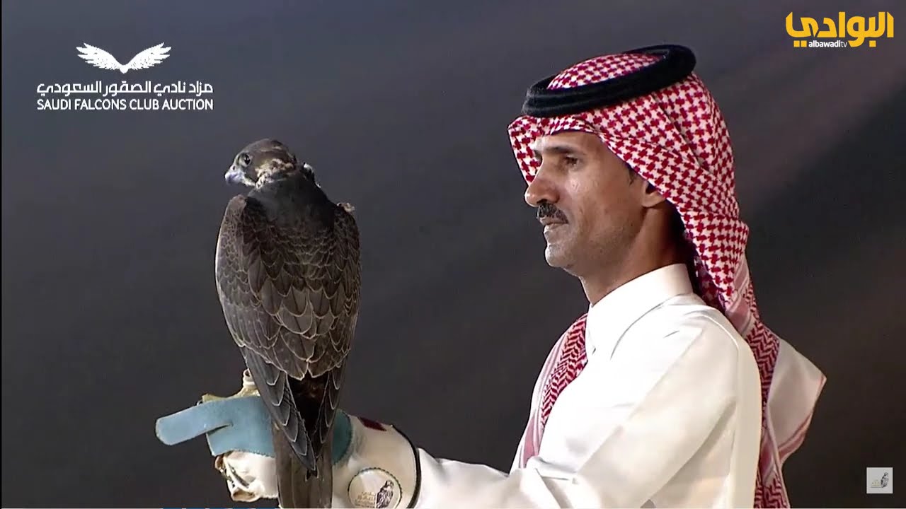 المزاد الرابع - معرض الصيد والصقور السعودي 2024م