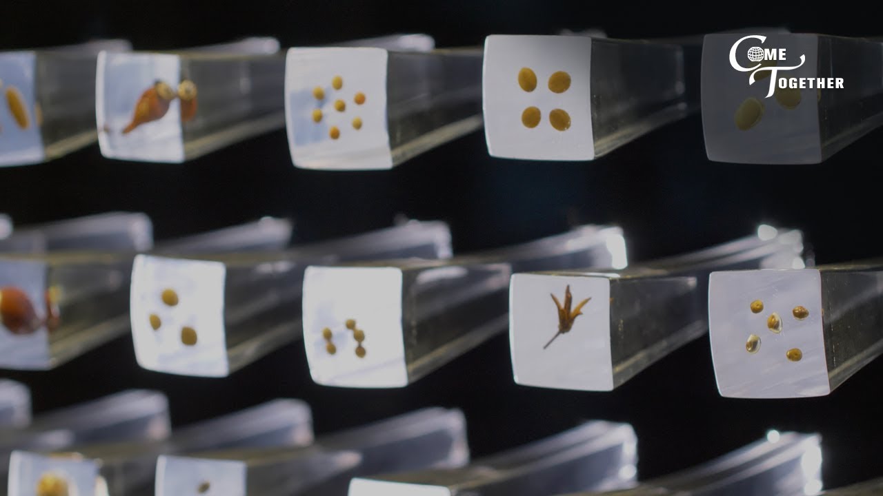 Seed Bank: Protecting Plant Biodiversity