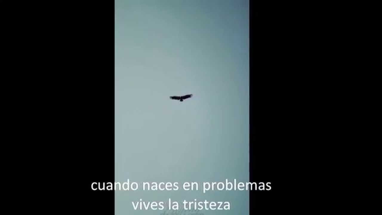 Live with me- Massive Attack. Letra en español