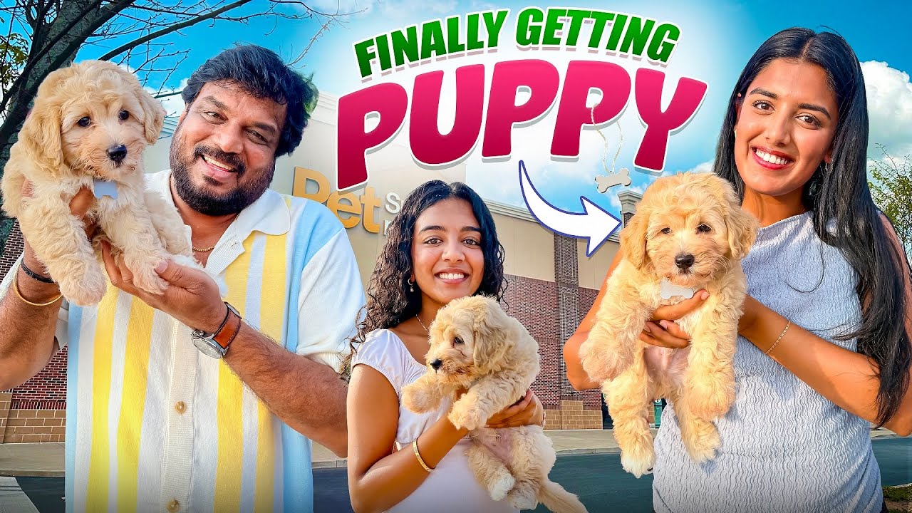 Getting a PUPPY!! 🐶 So excited!!😍VAAS Family | Telugu Vlogs 
