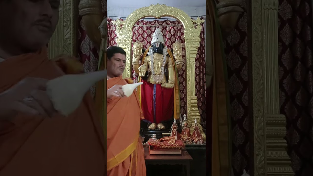 शयन आरती दर्शन  lord of Venkateswara tirupati balaji 🚩🚩#tirumala #tirupatibalajimantra 