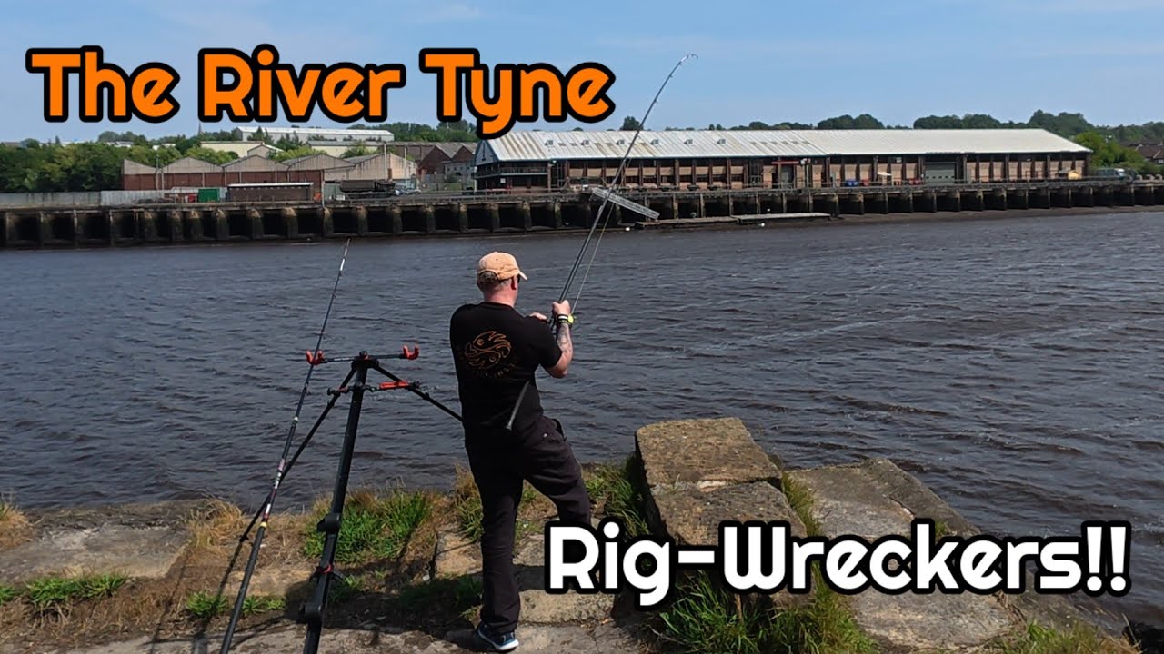 Sea Fishing | North East | River Tyne | Summer Species | Gateshead