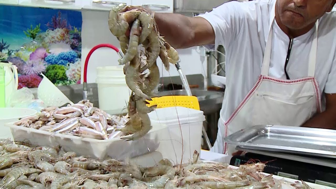 Cear&aacute;, Rio Grande do Norte e Sergipe lideram produ&ccedil;&atilde;o de camar&atilde;o