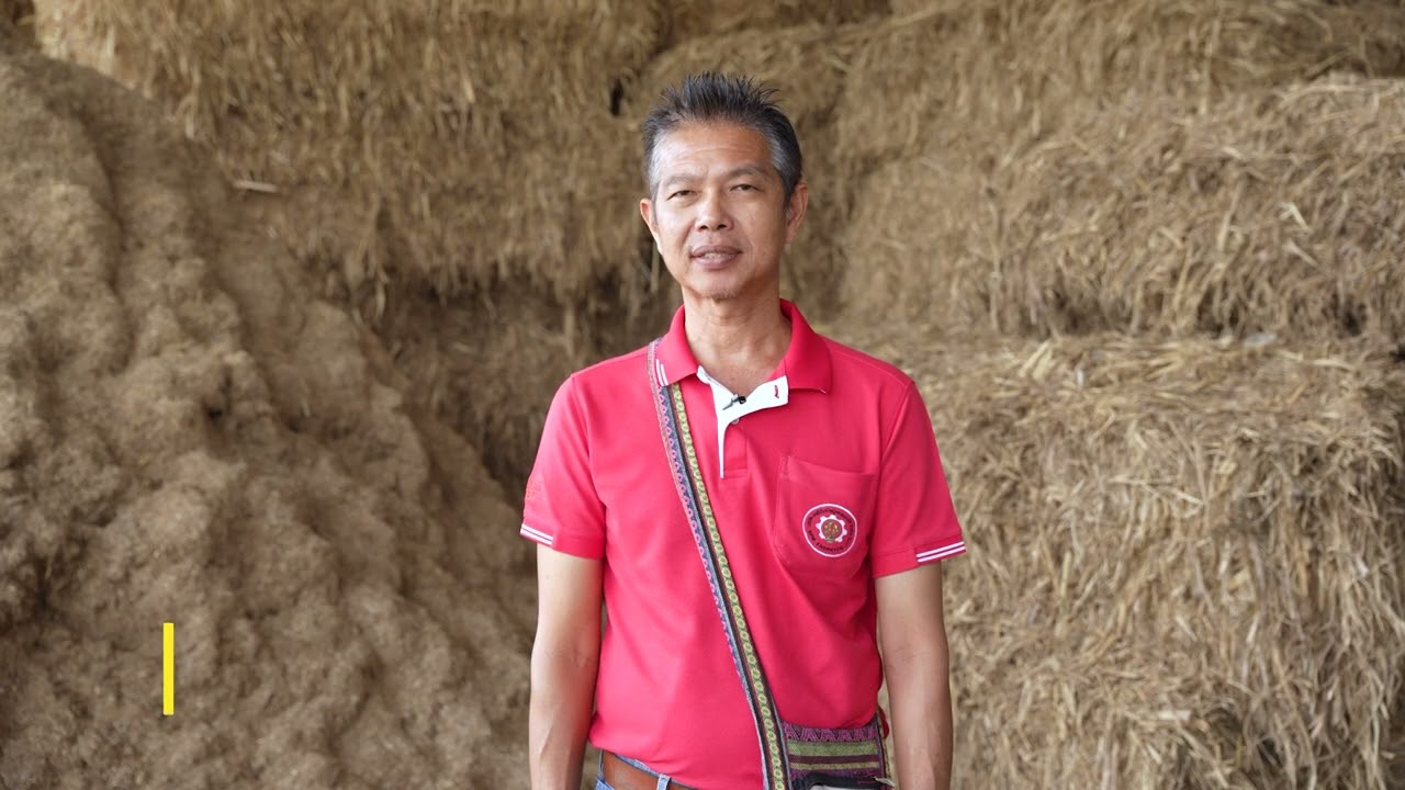 Success Case Biomass บริษัท เคพีดับเบิลยู เอนเนอร์จี จำกัด