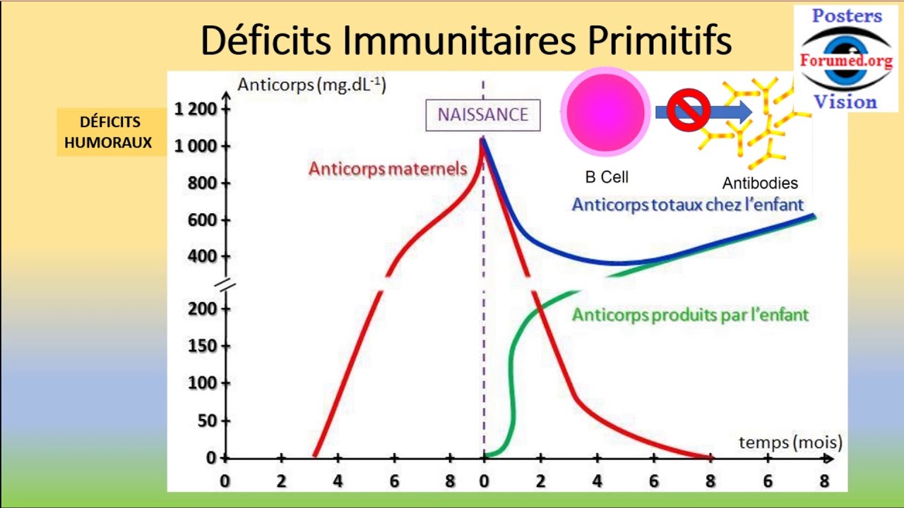 Déficit immunitaire primaire Humoral Cellulaire Combiné sévère Systeme innés adaptatifs Héréditaire