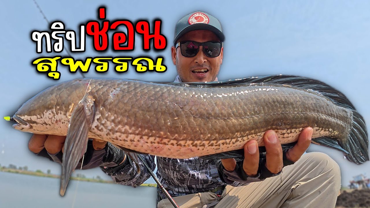 ทริปช่อนใหญ่กลับมาเยือนถิ่นสุพรรณยังมันส์เหมือนเดิม | ไอ้หนูเชื่อน้า