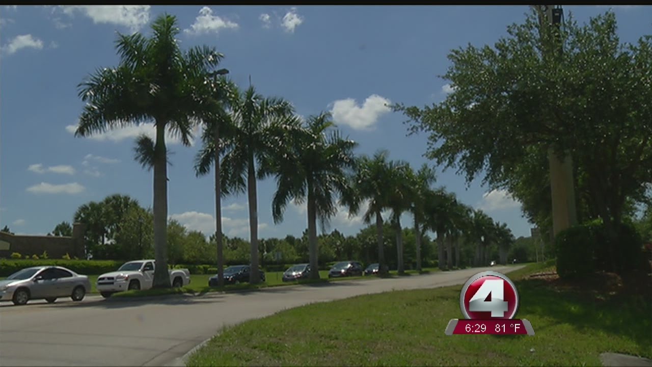 gateway boulevard palm trees