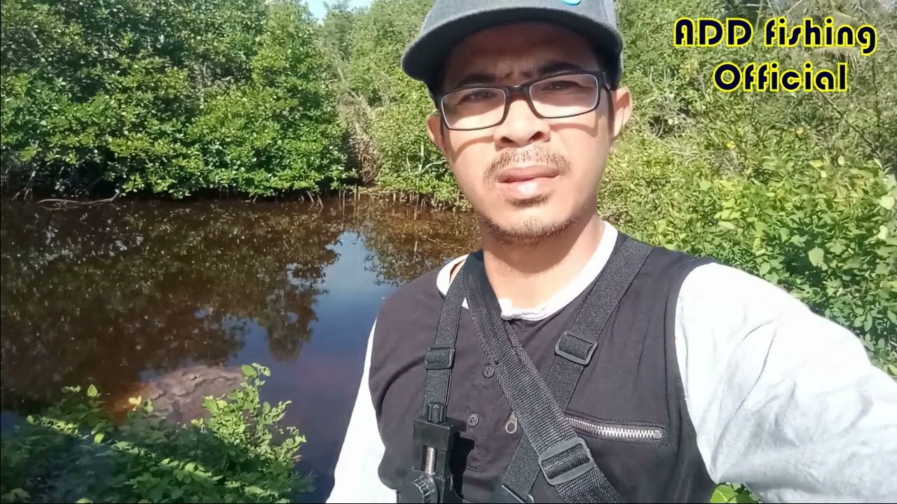 Ternyata disini ada ikan mangrove jack nya #Extreme UL fishing