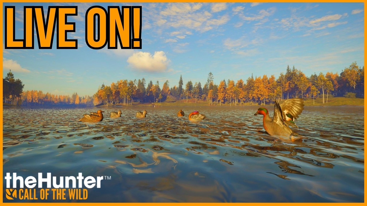 🔴LIVE ON! - EM BUSCA DOS PATOS DIAMANTES! - !PIX para sua msg ser lida!