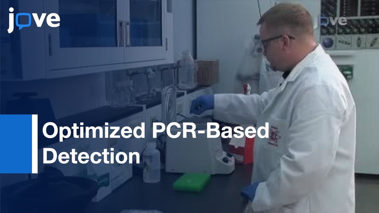 Optimized PCR-Based Detection Of Mycoplasma l Protocol Preview