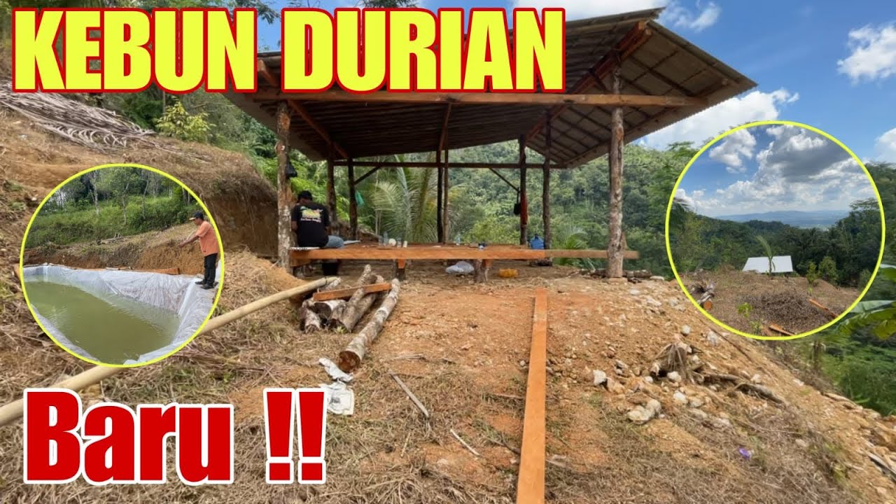 BUKA LAHAN BARU TERASERING. DI BANYUMAS.