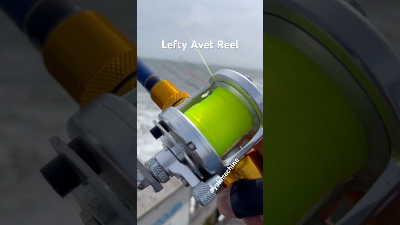 Lefty Avet reel #surfcasting #fishing #pierfishing #beachfishing  #shorts  #fyp #viralvideo #fy