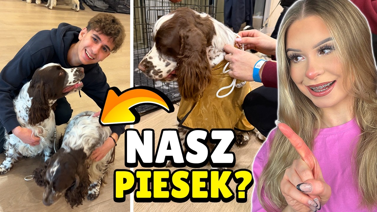 CZAS NA NASZEGO WŁASNEGO PIESKA? 🐶 (VLOG Torii i Wika)
