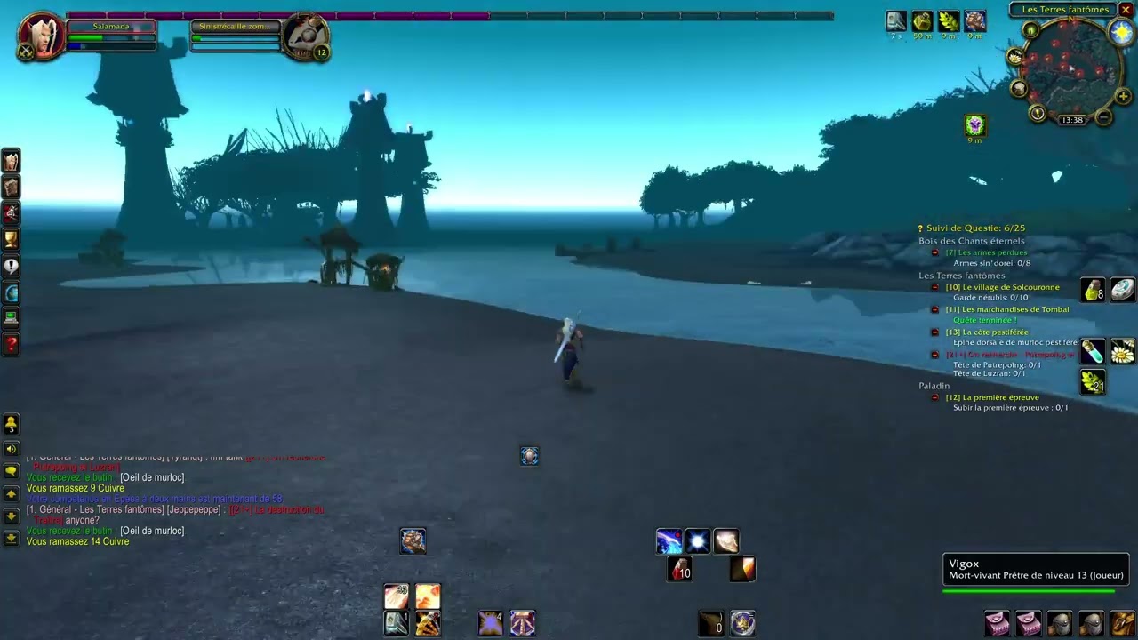 WOW Tbc anniversary Paladin Elfe de sang pexing part 5