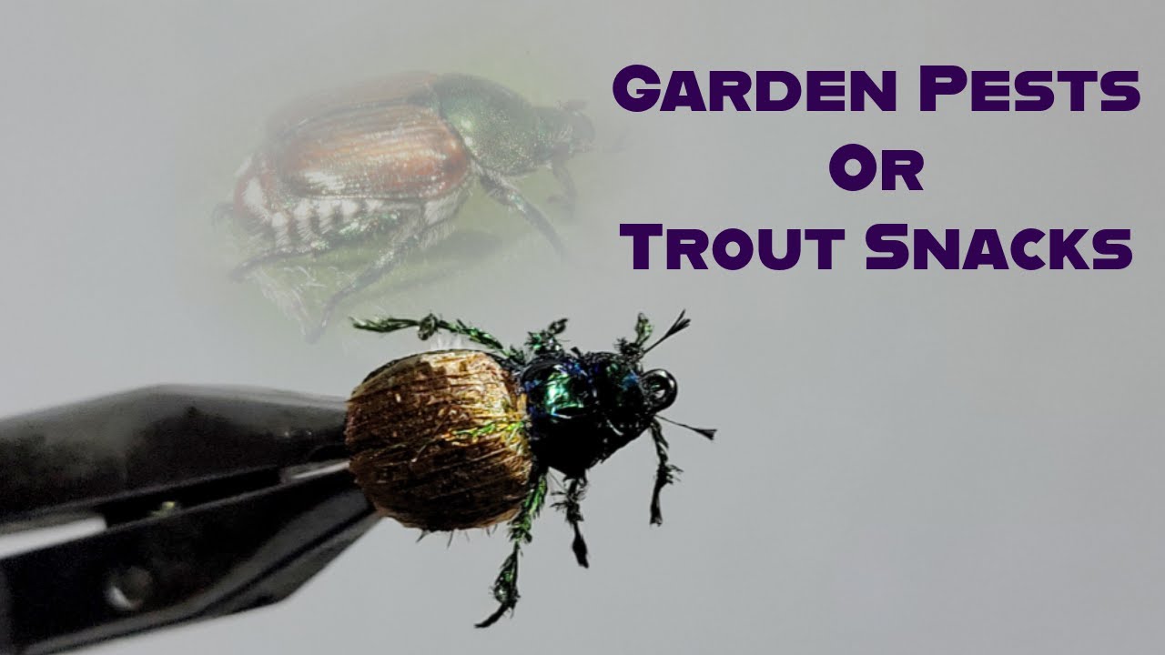 Tying the BEST AND EASIEST Japanese Beetle Dry Fly.