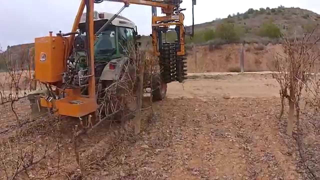 LA PODA DE INVIERNO CON NEOVID