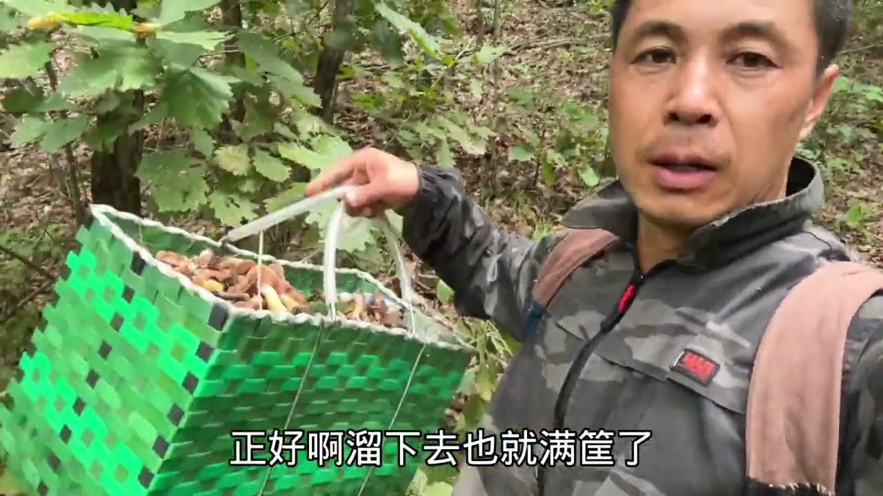 为了多采点蘑菇，小坤一天跑两趟，第二趟累的看见蘑菇都不想采