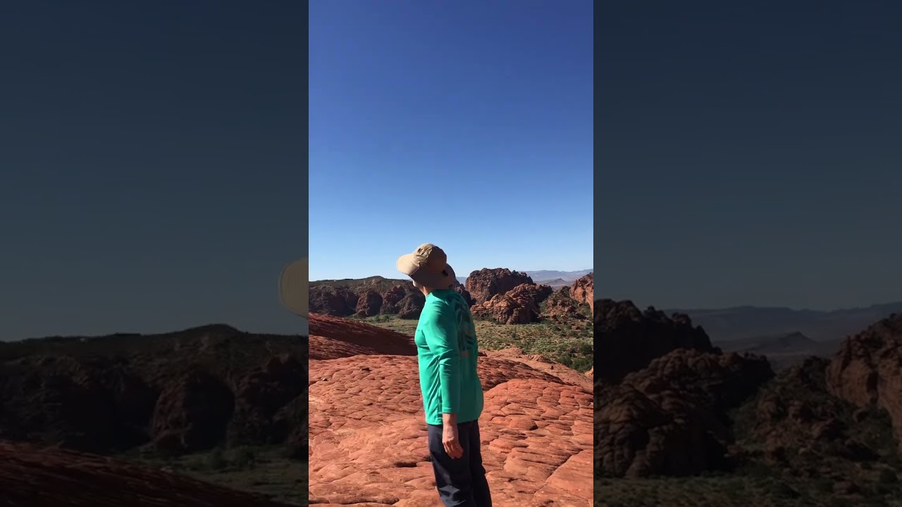 petrified Dunes 2 UT