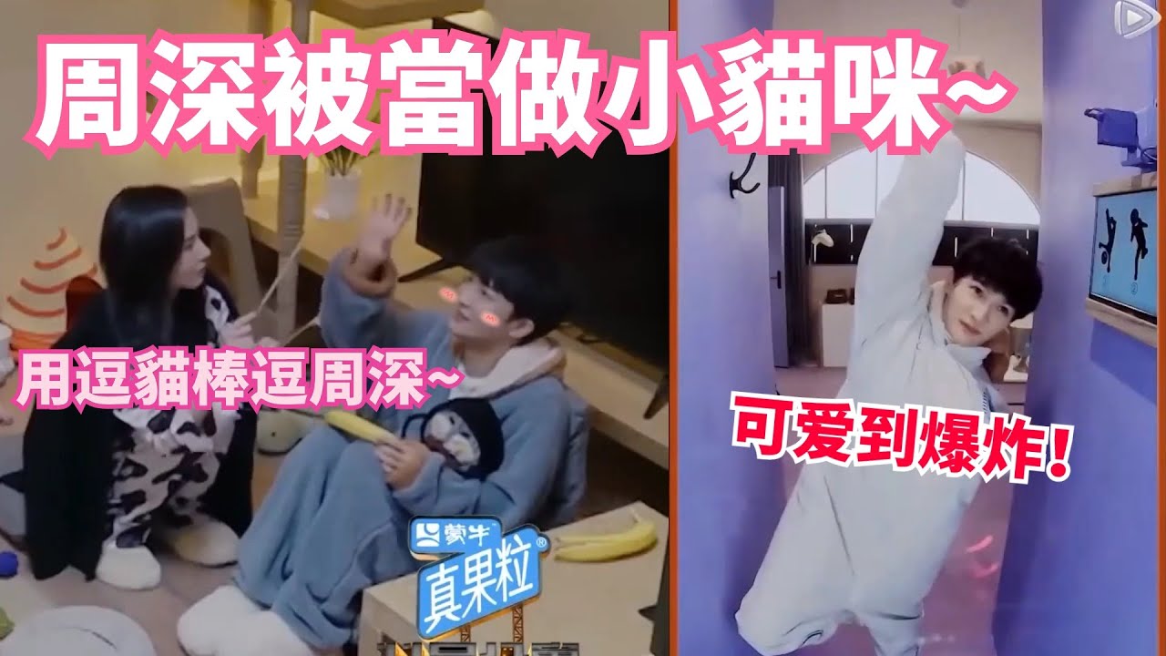 周深太可愛被當做小貓咪 還深藏巨款驚呆眾人【开始推理吧The Truth】|娛樂研究所