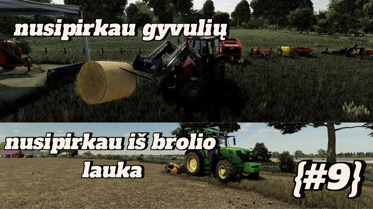nusipirkau iš brolio lauka ir nusipirkau gyvulių {#9}