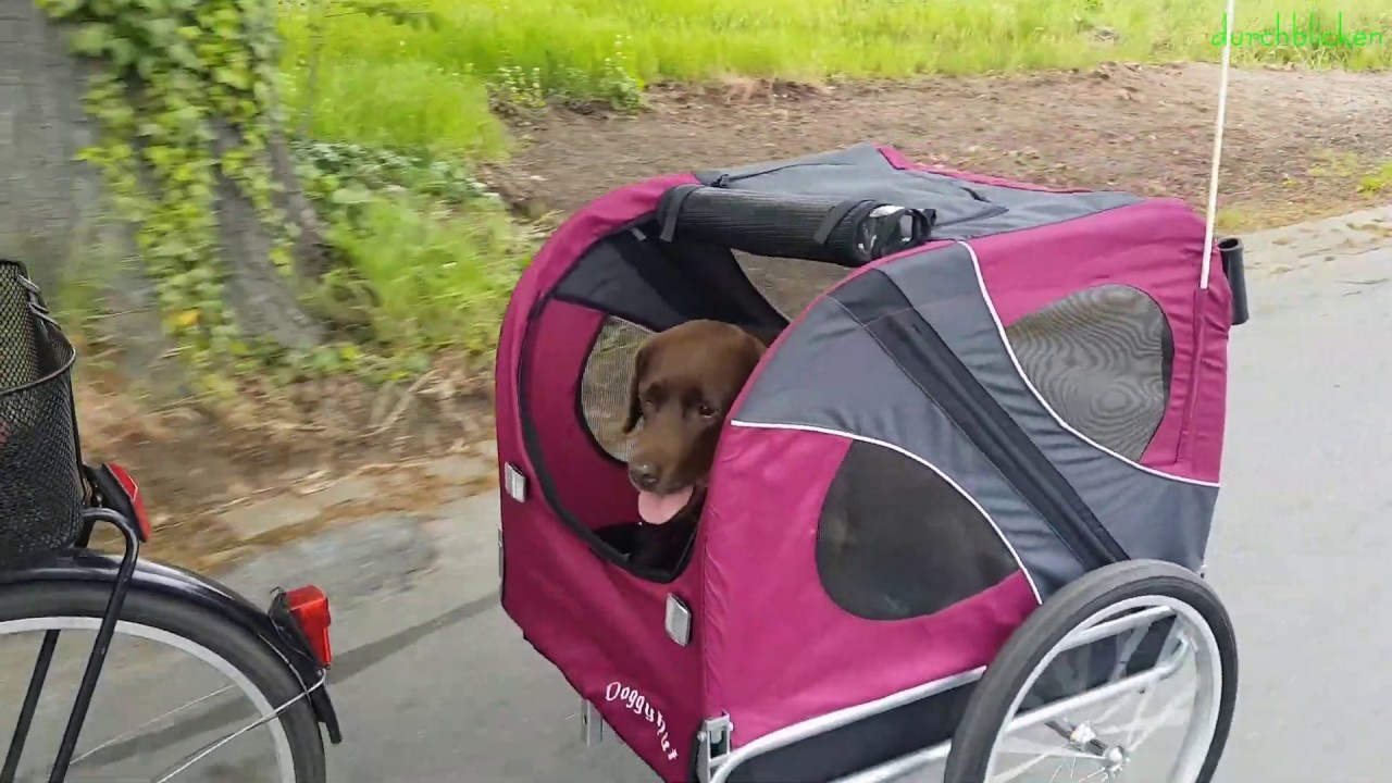 Hundefahrradanhänger Doggyhut  XL HundeanhängerHundetransporter