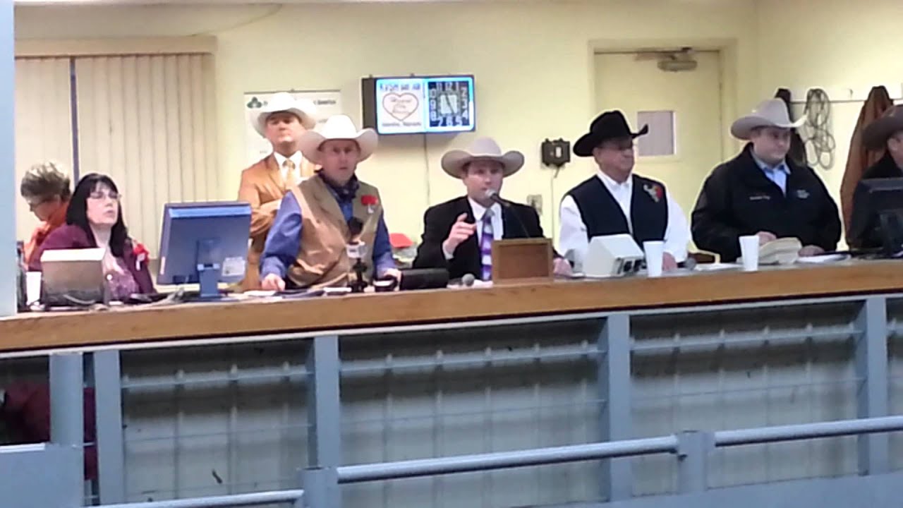 David Whitaker Greater Midwest Livestock Auction Championship 2013