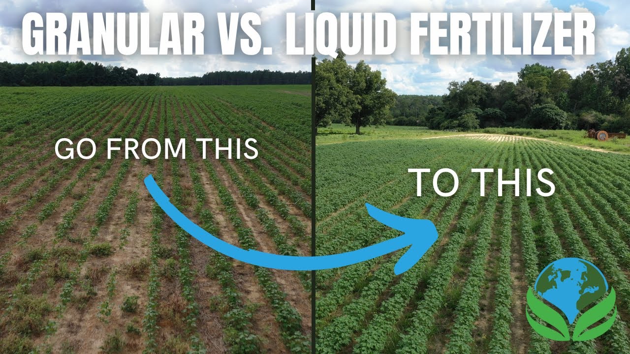 Liquid Fertilizer Vs. Granular Fertilizer Cotton Field | AgriTec International