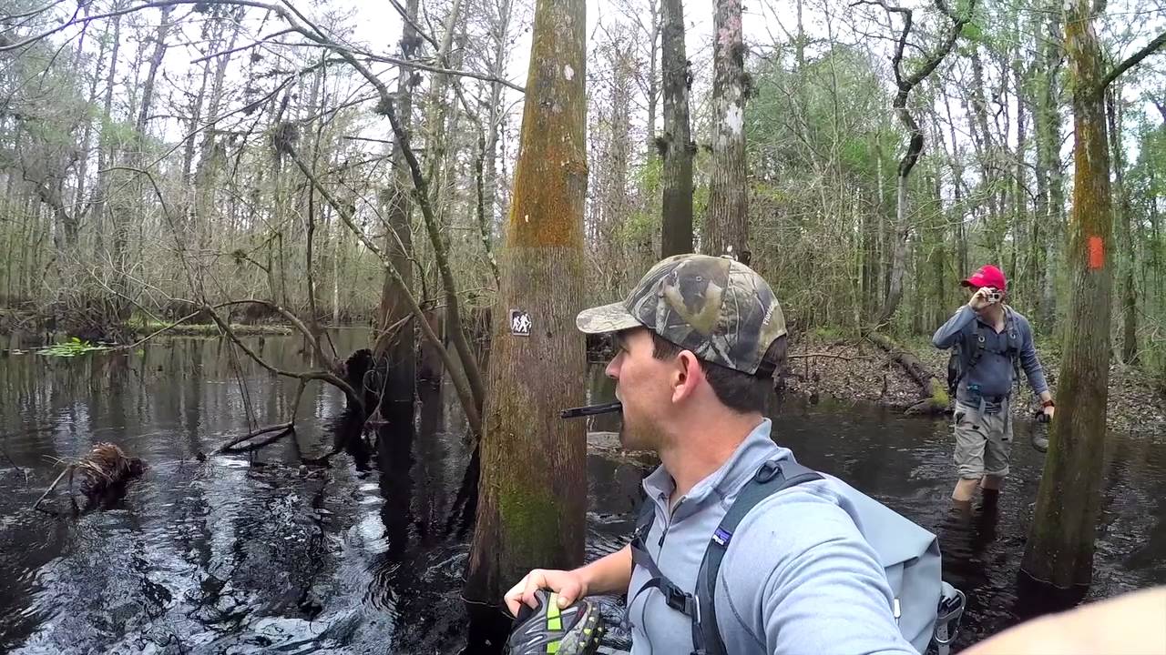 The Forgotten Coast TRAILER WEB @Grizzly Creek Films