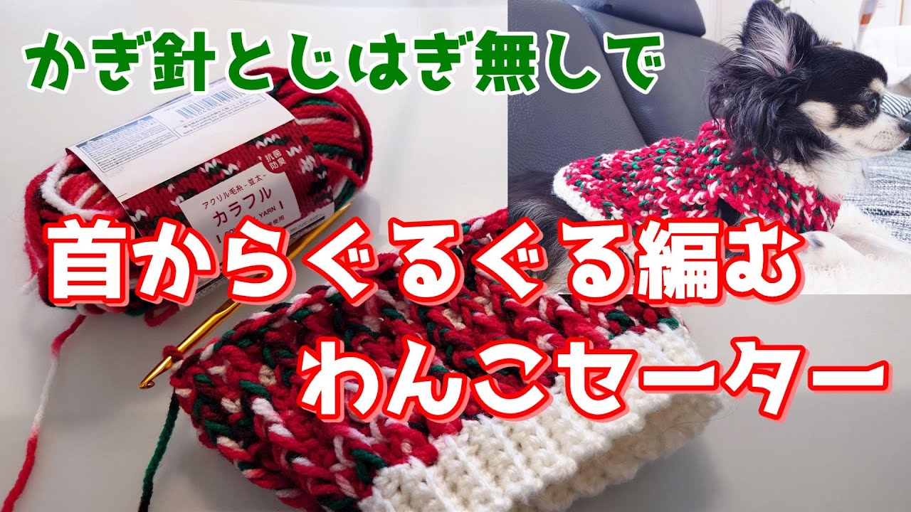 【かぎ針犬用セーター】サイズ調整OK 100均毛糸可愛さ全開カラフルヤーンでわんこセーターを編んでみました